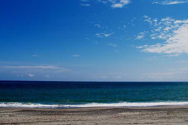 青薬web広報2018年7月号