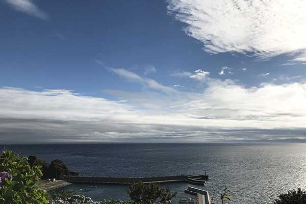 青薬web広報2019年7月号