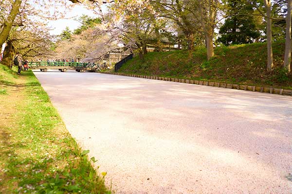 青薬web広報2020年3月号