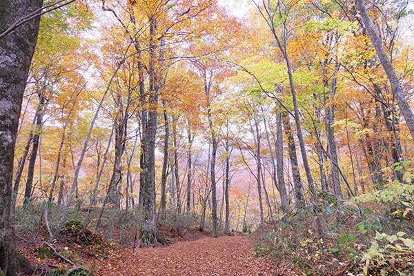 青薬web広報2020年9月号