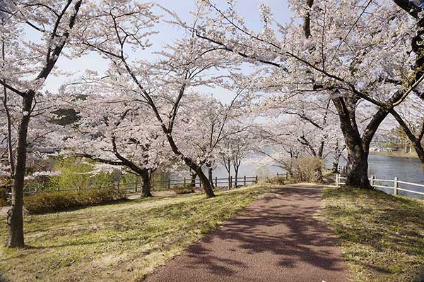 青薬web広報2021年03月号