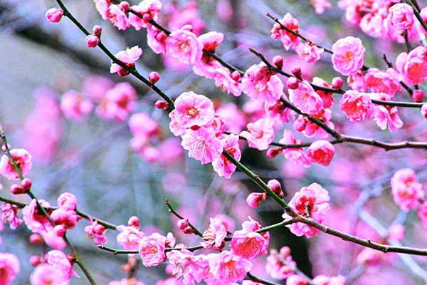 青薬web広報2022年3月号