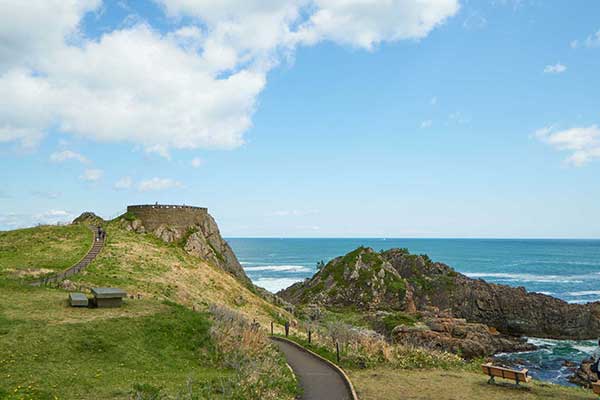 青薬web広報2022年5月号