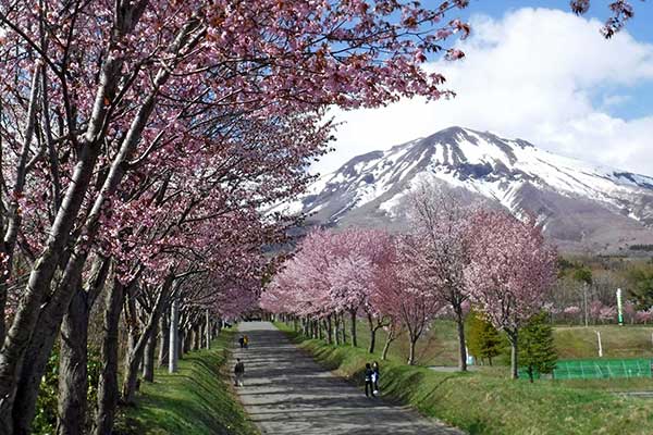 青薬web広報2024年3月号