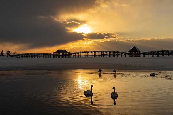 青薬web広報2024年11月号