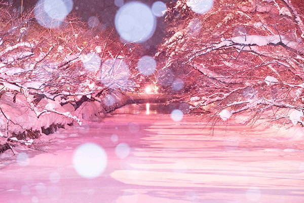 青薬web広報2025年1月号