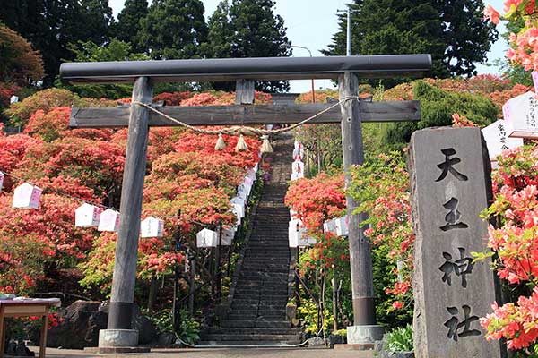 青薬web広報2025年5月号