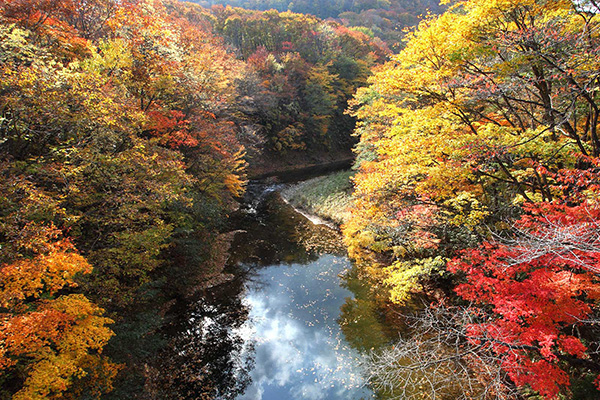 青薬web広報2025年9月号