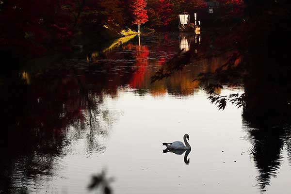 青薬web広報2025年11月号