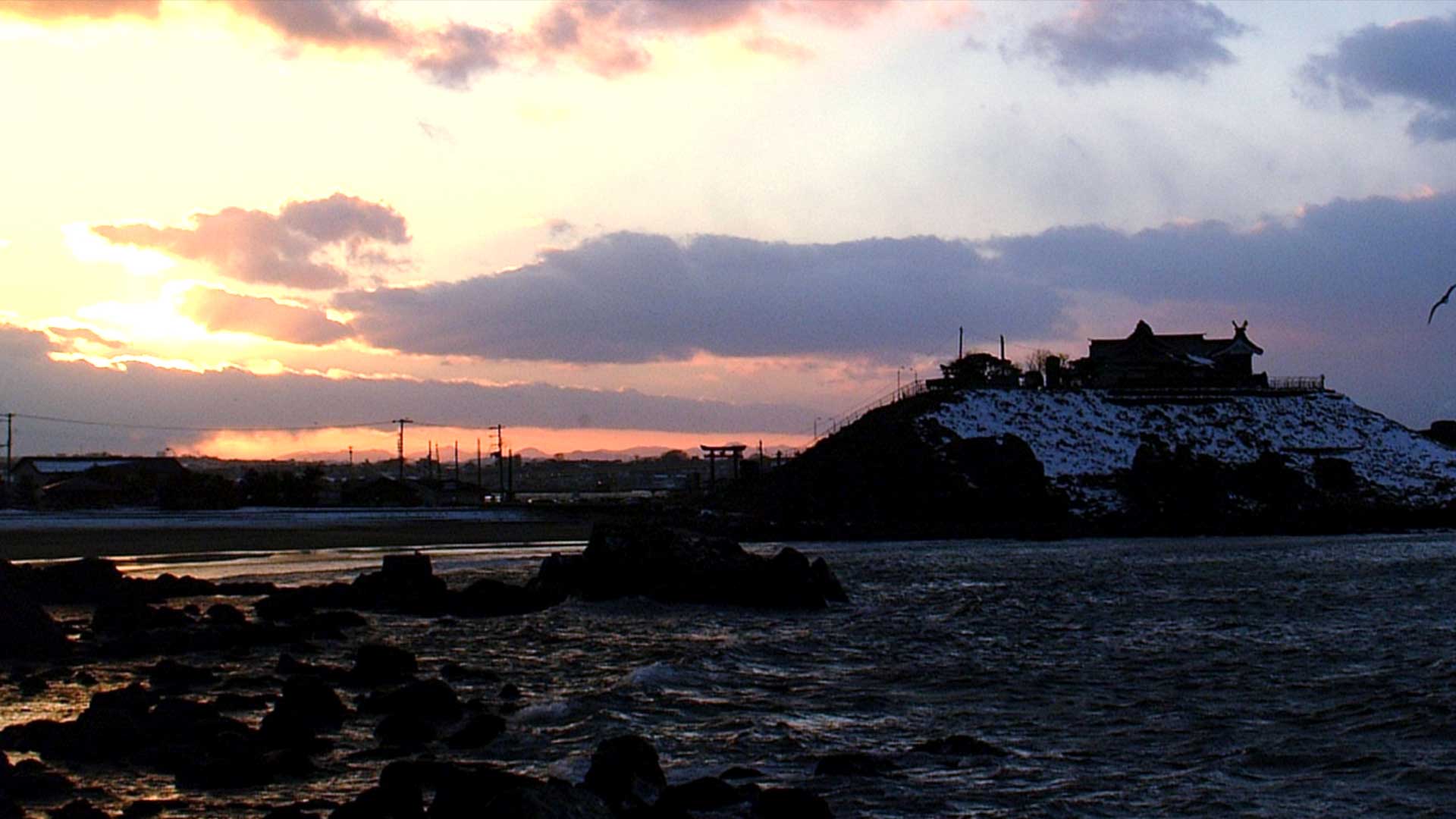 青薬web広報2026年1月号